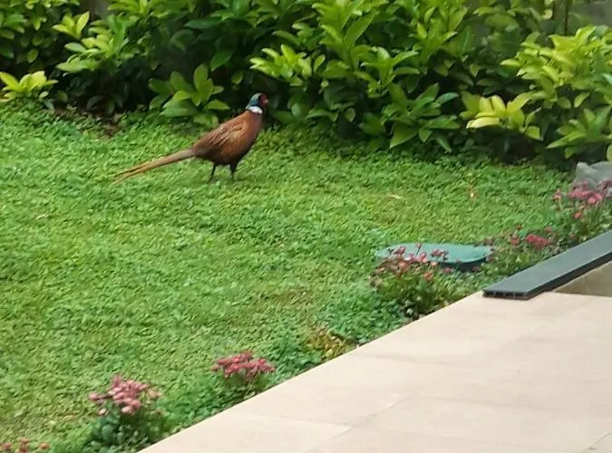 别墅 Marulovo Hills